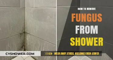 Effective Ways to Eliminate Shower Fungus and Prevent Regrowth