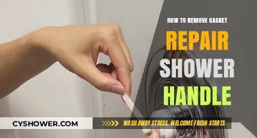 Easy DIY Guide: Removing and Repairing Shower Handle Gaskets