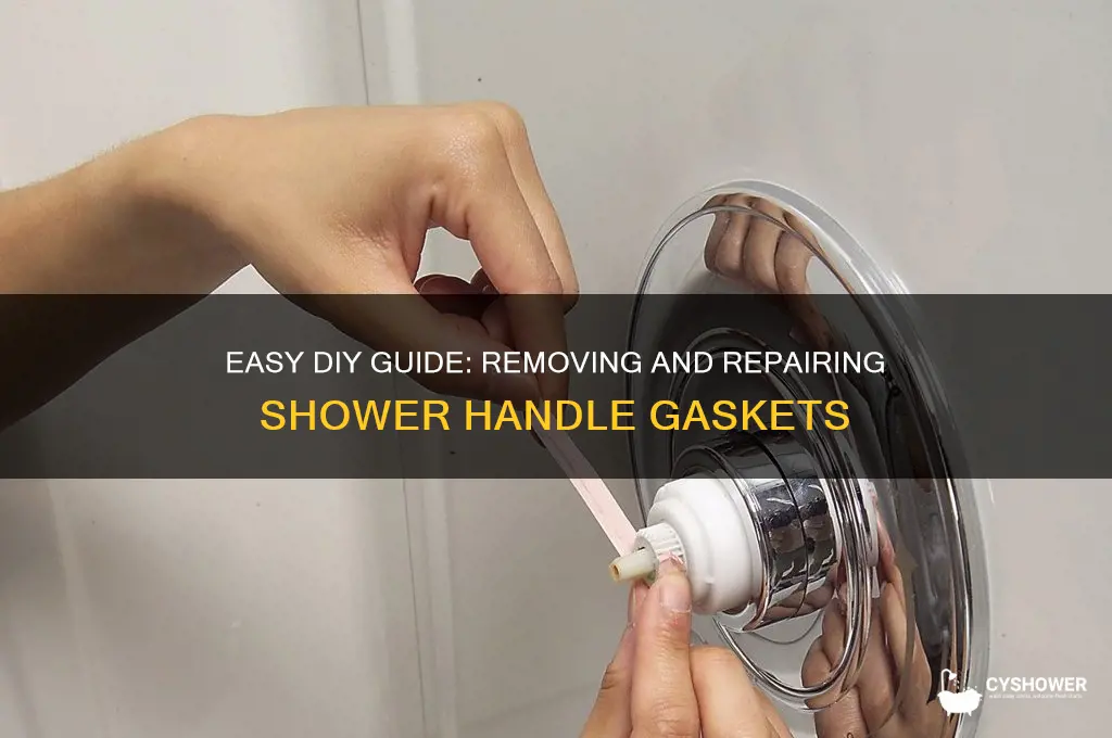 how to remove gasket repair shower handle