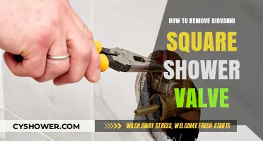 Easy Steps to Remove Your Giovanni Square Shower Valve