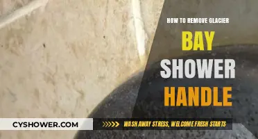 Easy Steps to Remove Your Glacier Bay Shower Handle