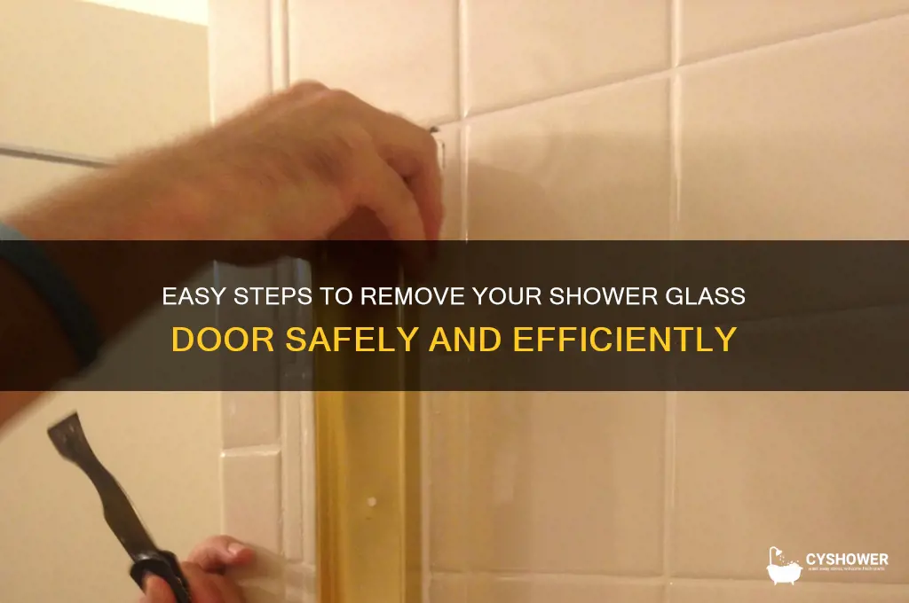 how to remove glass door from shower
