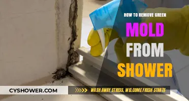 Effective Ways to Eliminate Green Mold from Your Shower Quickly