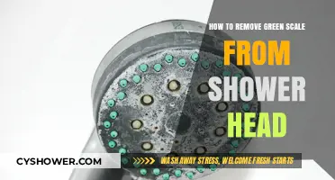 Effective Ways to Remove Green Scale from Your Shower Head
