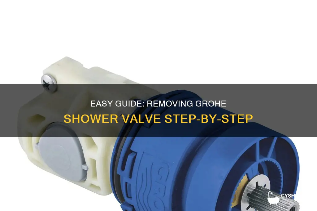 how to remove grohe shower valve