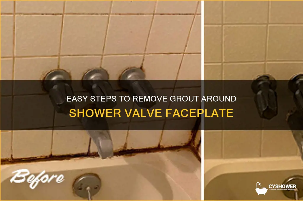 how to remove grout around shower valve faceplate