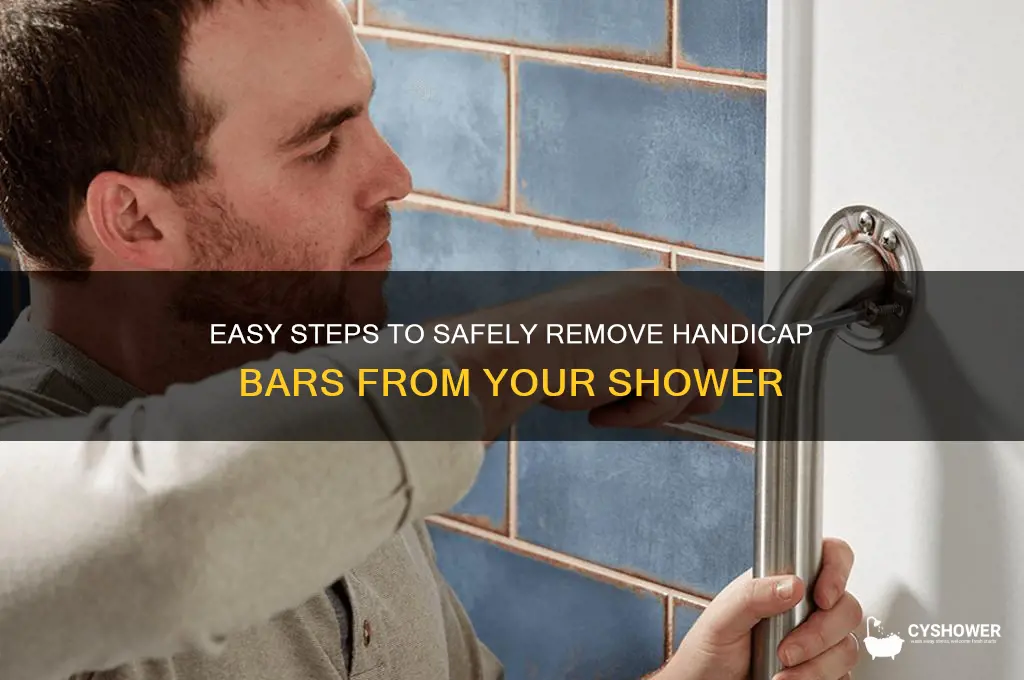 how to remove handicap bars from shower