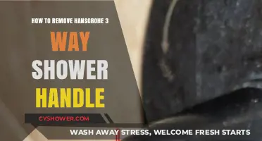 Easy Steps to Remove Your Hansgrohe 3-Way Shower Handle