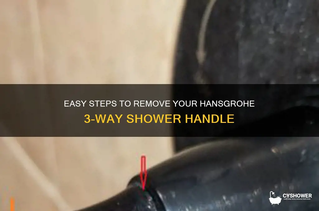 how to remove hansgrohe 3 way shower handle