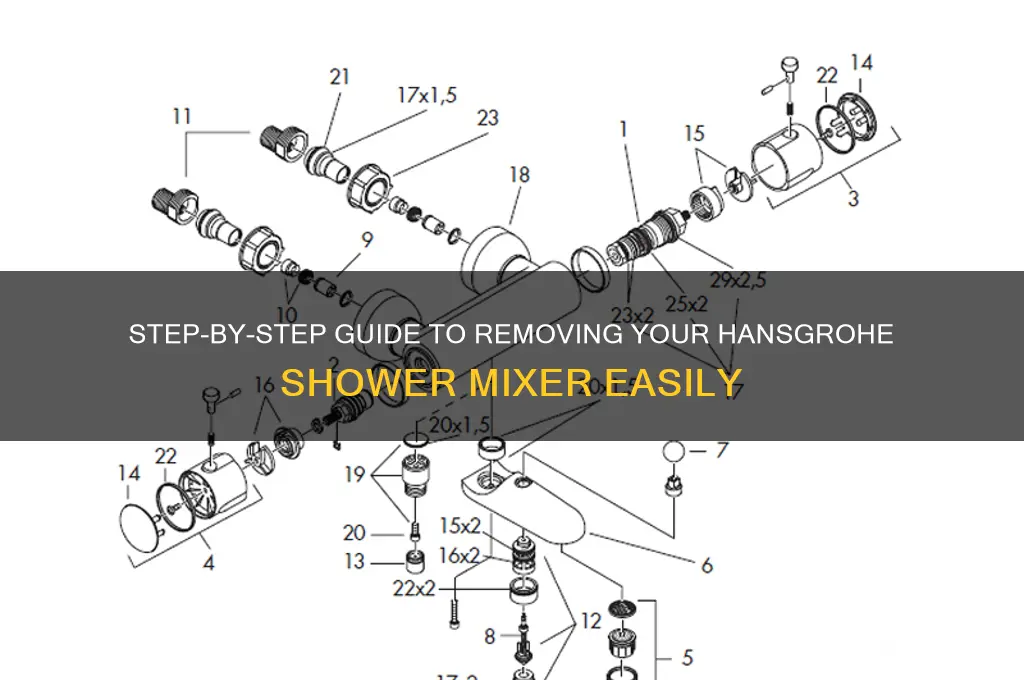 how to remove hansgrohe shower mixer