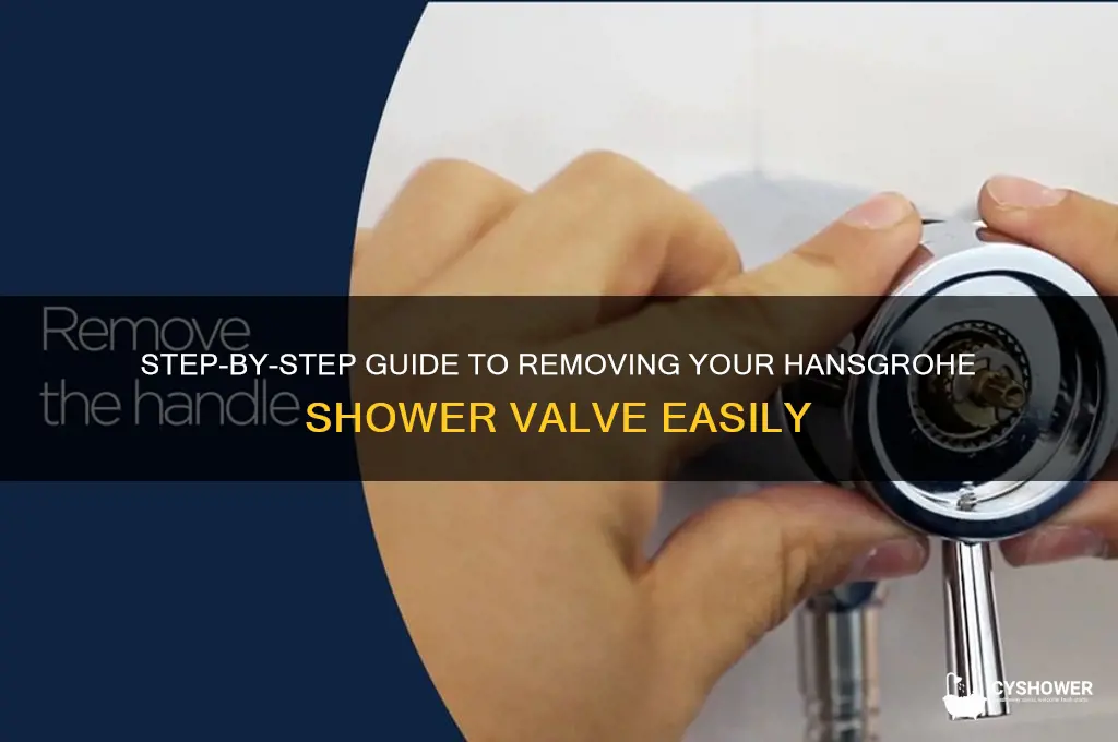 how to remove hansgrohe shower valve