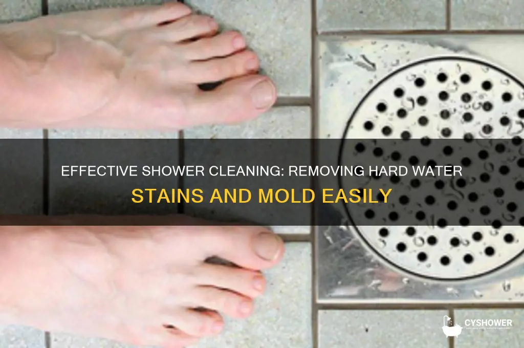 how to remove hard water stains and mold from shower