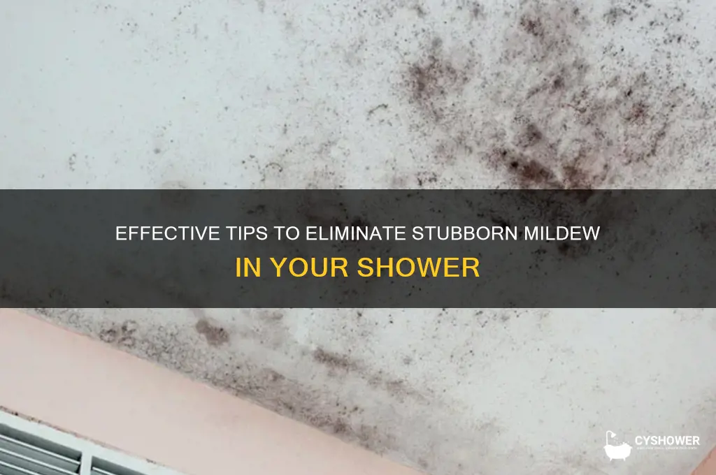 how to remove heavy mildew in shower