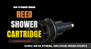 Easy Guide to Removing Your Hudson Reed Shower Cartridge
