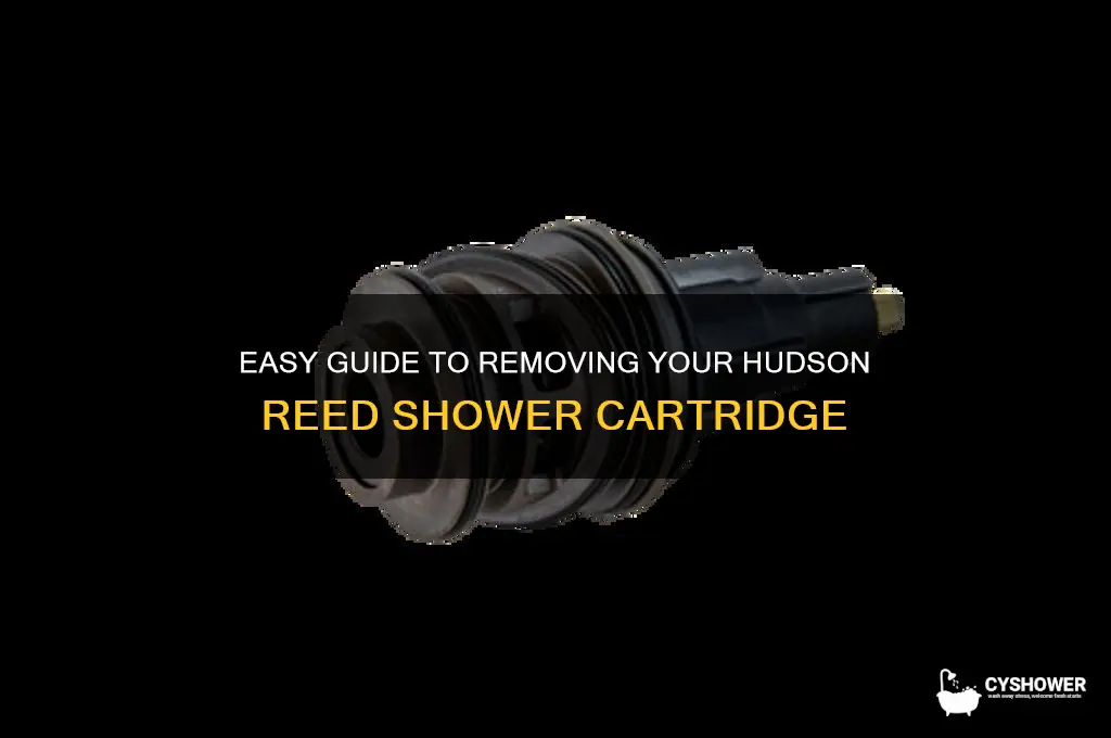 how to remove hudson reed shower cartridge