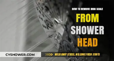 Effective Tips to Remove Iron Scale from Your Shower Head