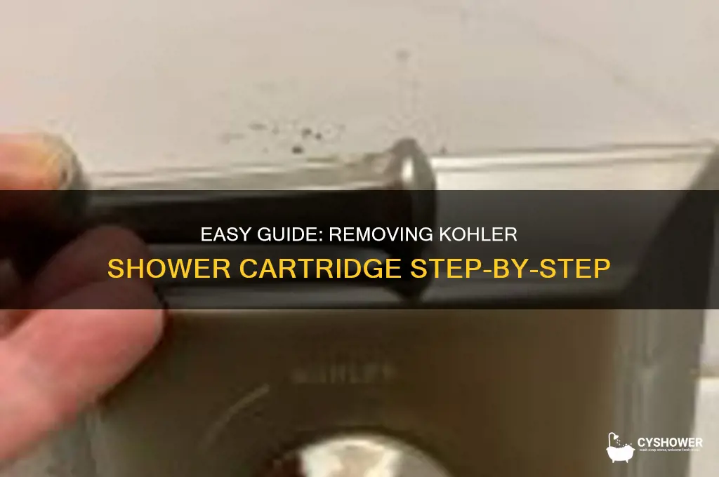 how to remove kohler shower cartridge