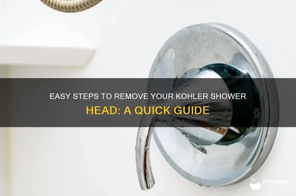how to remove kohler shower head