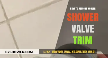 Easy Steps to Remove Kohler Shower Valve Trim: A DIY Guide