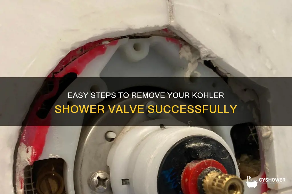 how to remove kohler shower valve