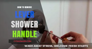 Easy Steps to Remove a Lever Shower Handle Yourself