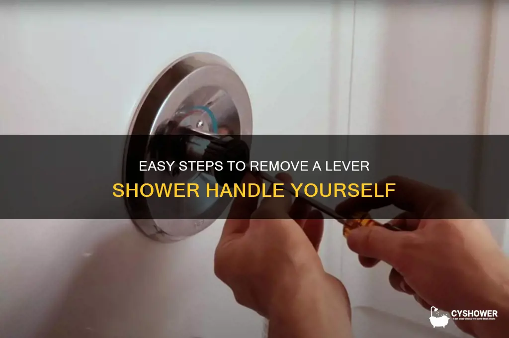 how to remove lever shower handle