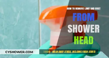 Effective Shower Head Cleaning: Remove Lime and Rust Easily