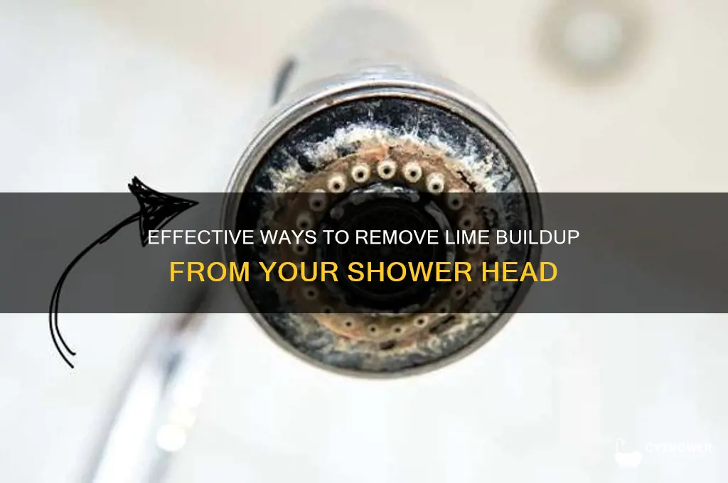 how to remove lime from shower head
