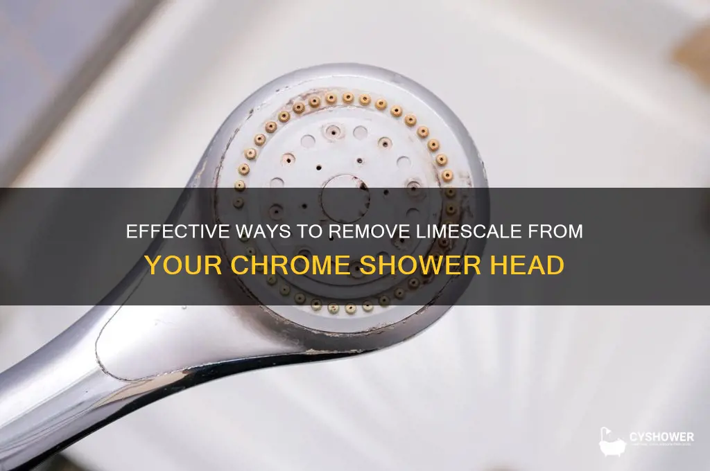 how to remove limescale from chrome shower head