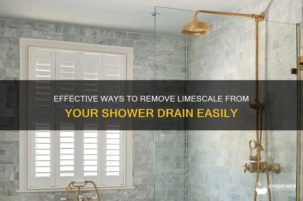 how to remove limescale from shower drain