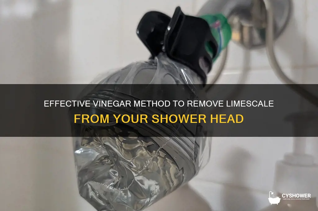 how to remove limescale from shower head with vinegar