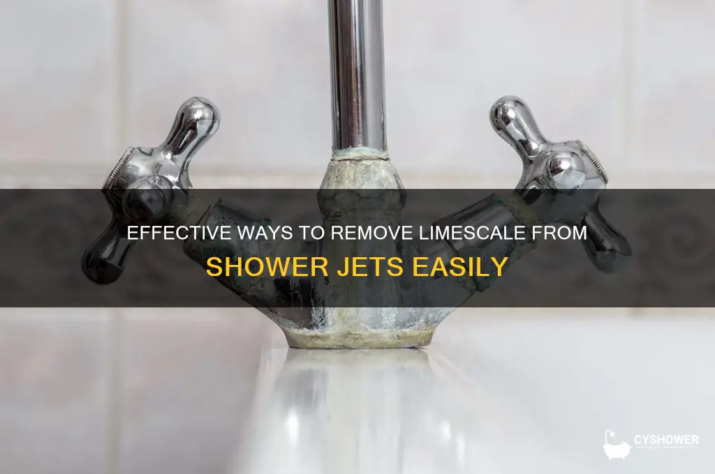 how to remove limescale from shower jets