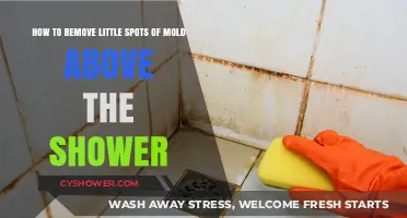 Quick Tips to Eliminate Small Mold Spots Above Your Shower