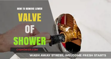 Easy Steps to Remove Your Shower’s Lower Valve Safely