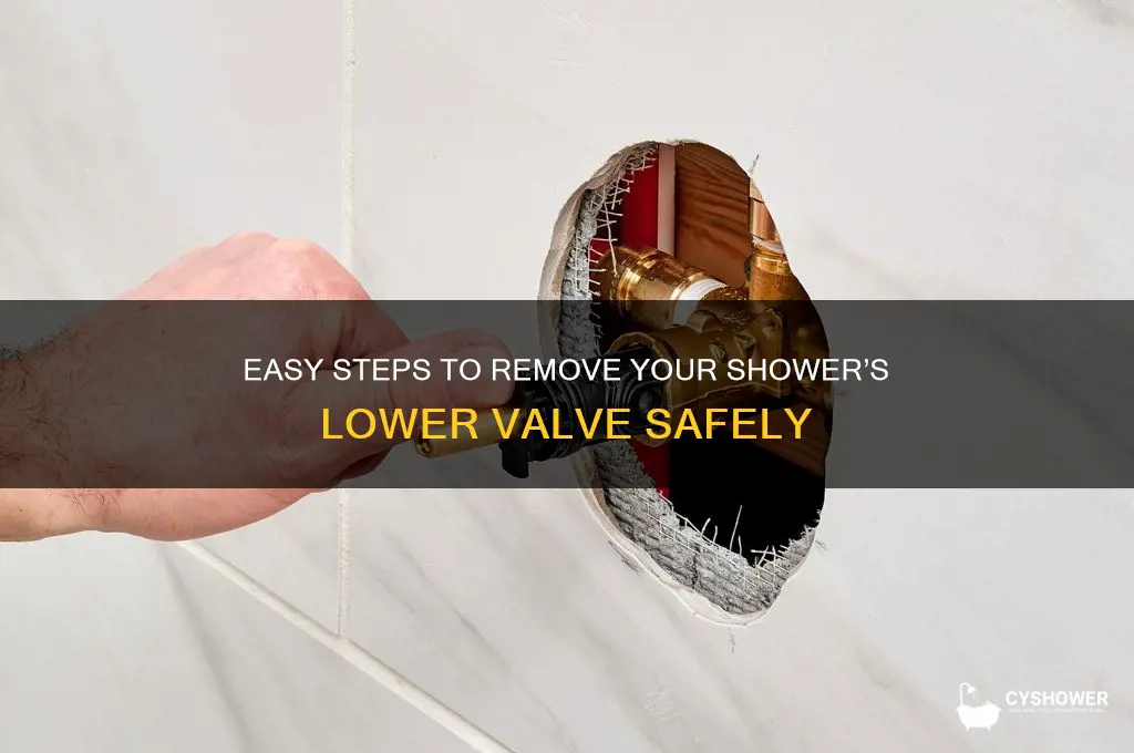 how to remove lower valve of shower