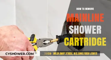 Easy Steps to Remove a Mainline Shower Cartridge Yourself