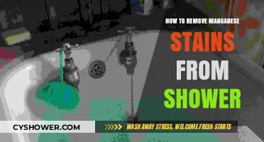 Effective Ways to Remove Manganese Stains from Your Shower