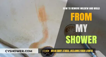 Effective Tips to Eliminate Mildew and Mold from Your Shower