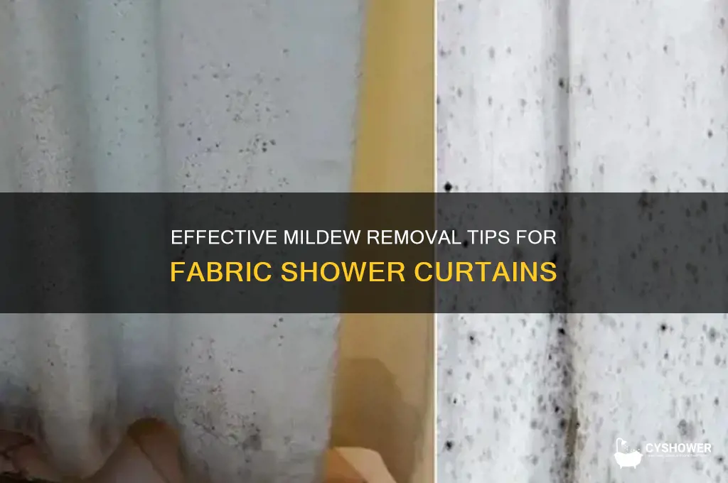 how to remove mildew from a fabric shower curtain