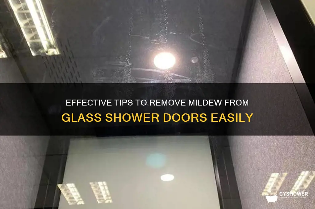 how to remove mildew from glass shower door