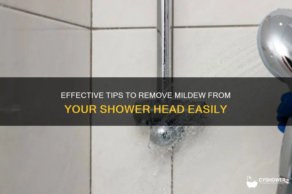 how to remove mildew from shower head