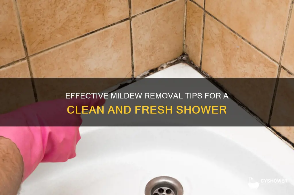 how to remove mildew from shower
