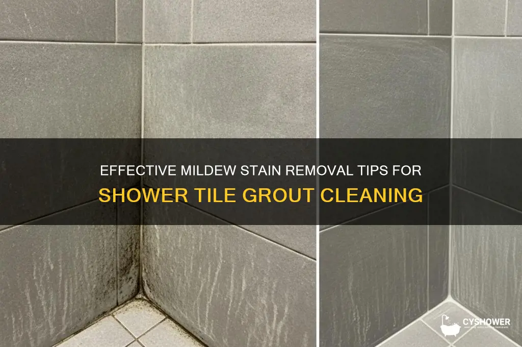 how to remove mildew stains from shower tile grout
