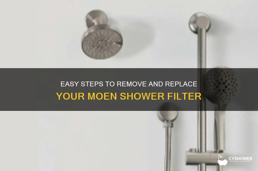 how to remove moem shower filterr