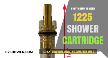 Easy Steps to Remove Moen 1225 Shower Cartridge: DIY Guide
