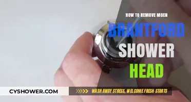 Easy Steps to Remove Your Moen Brantford Shower Head