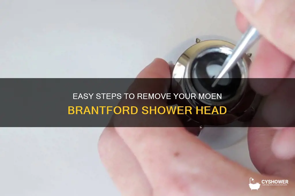 how to remove moen brantford shower head