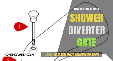 Easy Steps to Remove a Moen Shower Diverter Gate