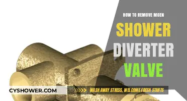 Easy Steps to Remove a Moen Shower Diverter Valve