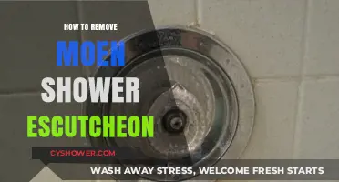 Easy Guide to Removing a Moen Shower Escutcheon Plate